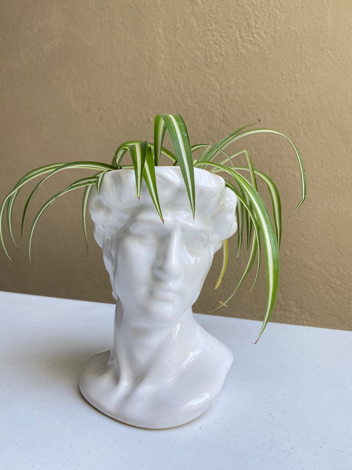 David blanco - maceta grande