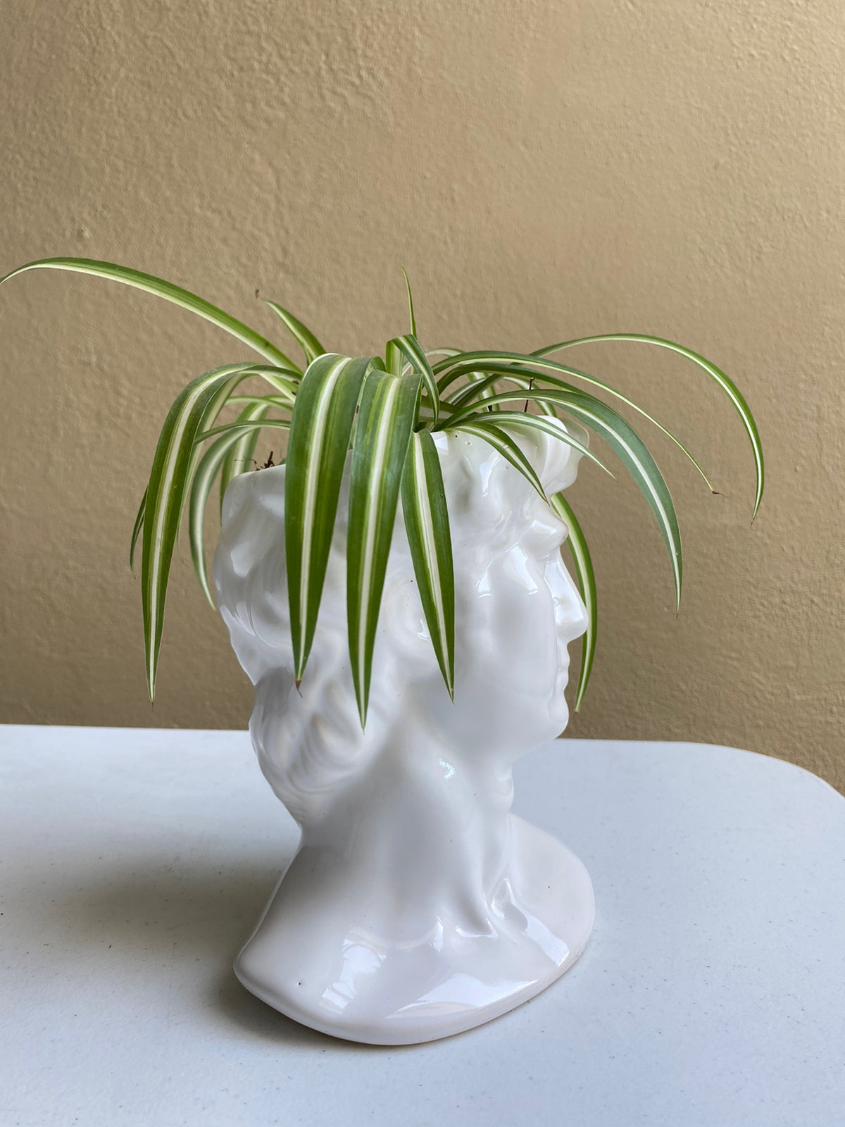 David blanco - maceta grande